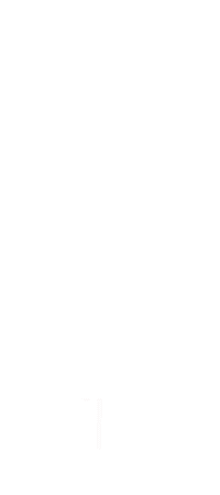 animation
